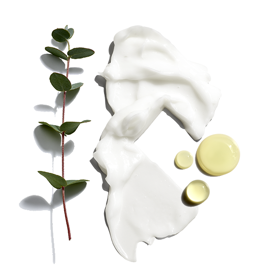 Beard Lube? Conditioning Shave - Image 2