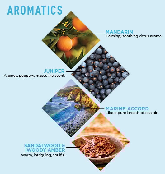 Big Sir? Refreshing Body Lotion - Image 5