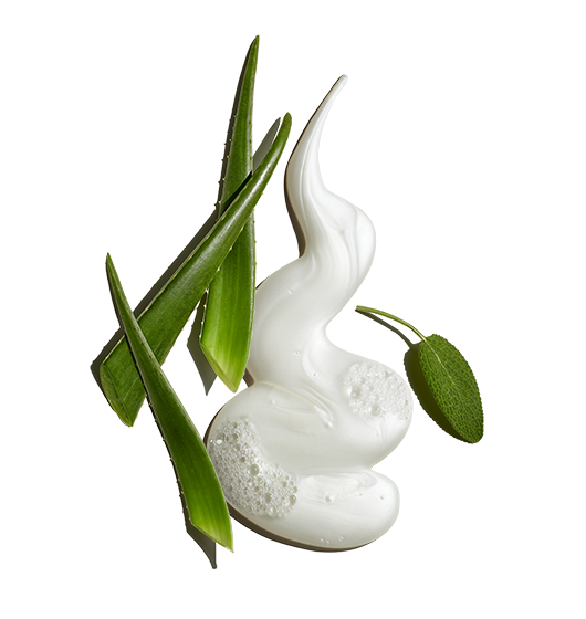 Pure Clean Road Warriors. 3-Pack - Image 2