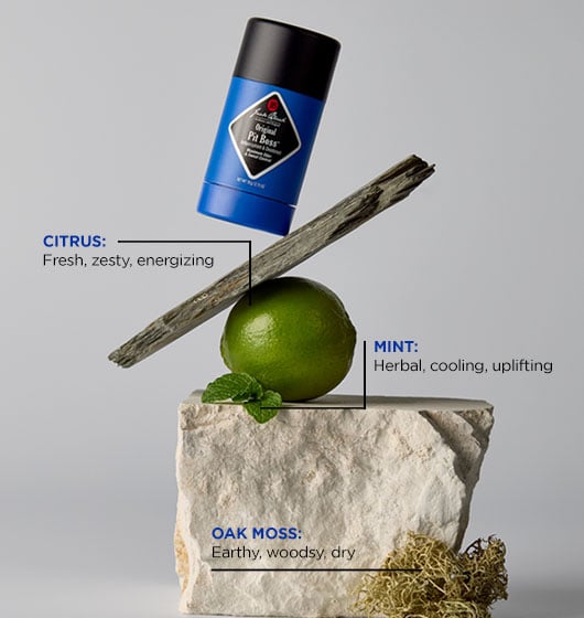 Pit Boss Duo - Image 4