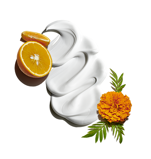 Sun Guard Road Warriors - Image 2